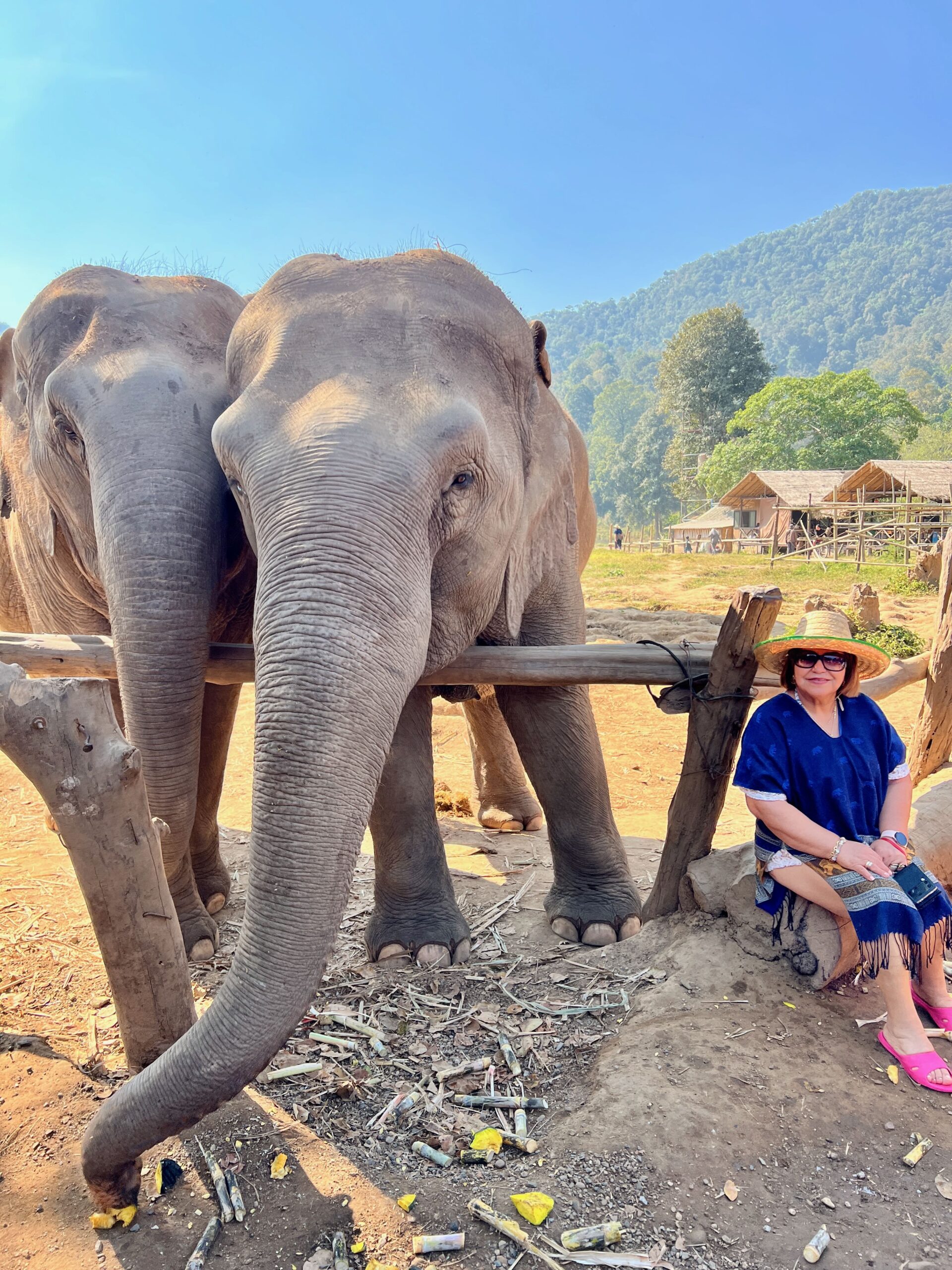 Templos y naturaleza en Chiang Mai