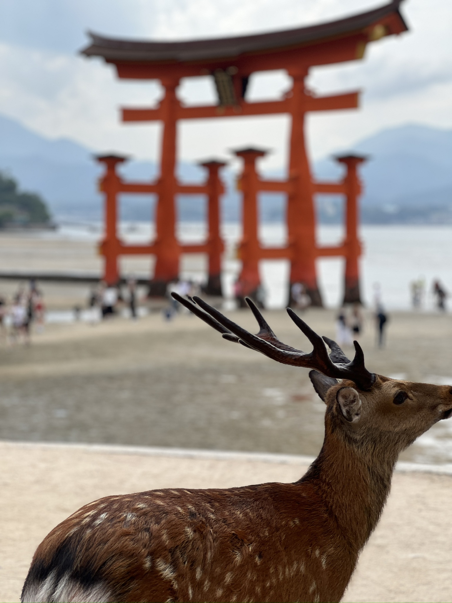Templo Daishoin, Miyajima